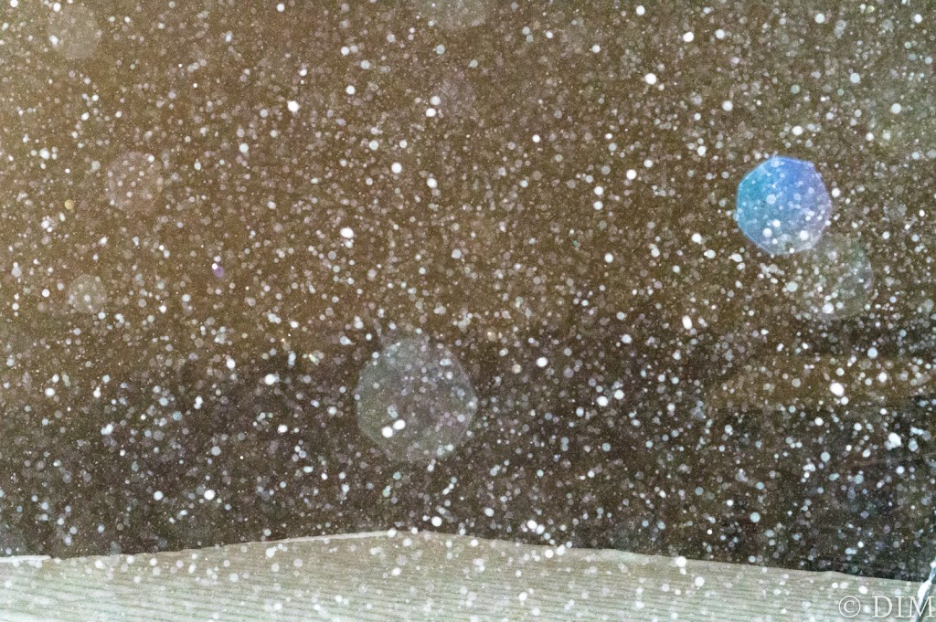 雪が降る夜に思い通りの写真を撮った！PENTAX KP作例