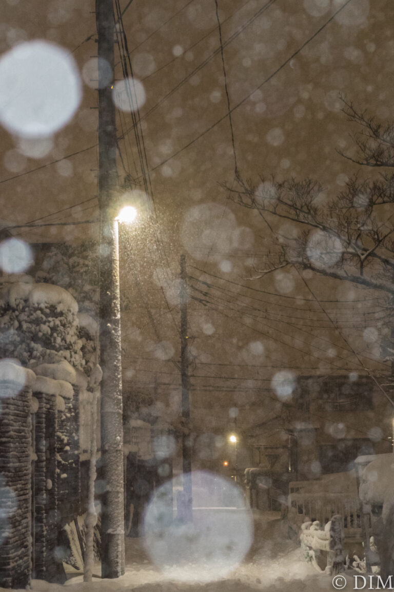 Read more about the article 雪が降る夜に思い通りの写真を撮った！PENTAX KP作例