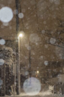 雪が降る夜に思い通りの写真を撮った！PENTAX KP作例