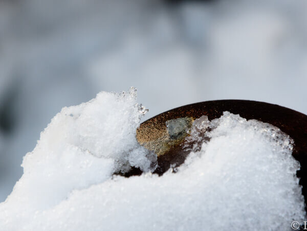 太陽の偉大さを感じた雪の朝のPENTAX KP作例