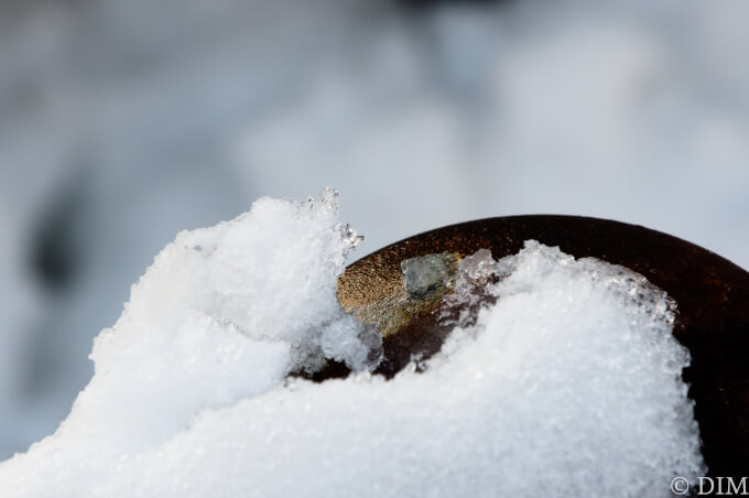 投稿についてもっと詳しく 太陽の偉大さを感じた雪の朝のPENTAX KP作例