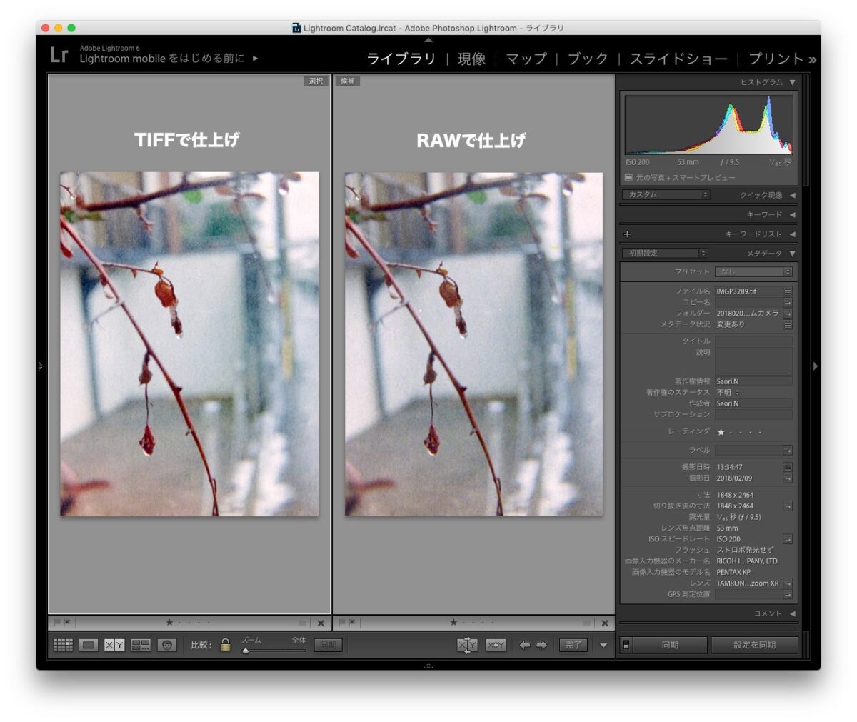 Lightroomを使ったフィルムスキャン画像のネガポジ反転と色の調整