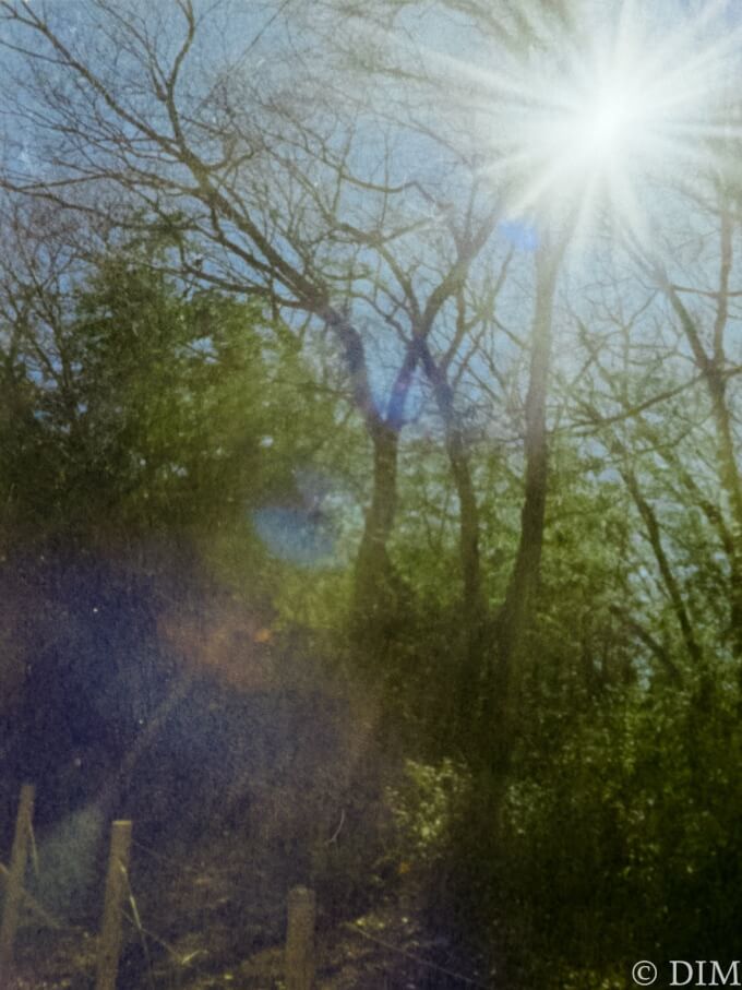 投稿についてもっと詳しく PENTAX auto110（フィルムカメラ）作例とF2.8でも撮れる光芒