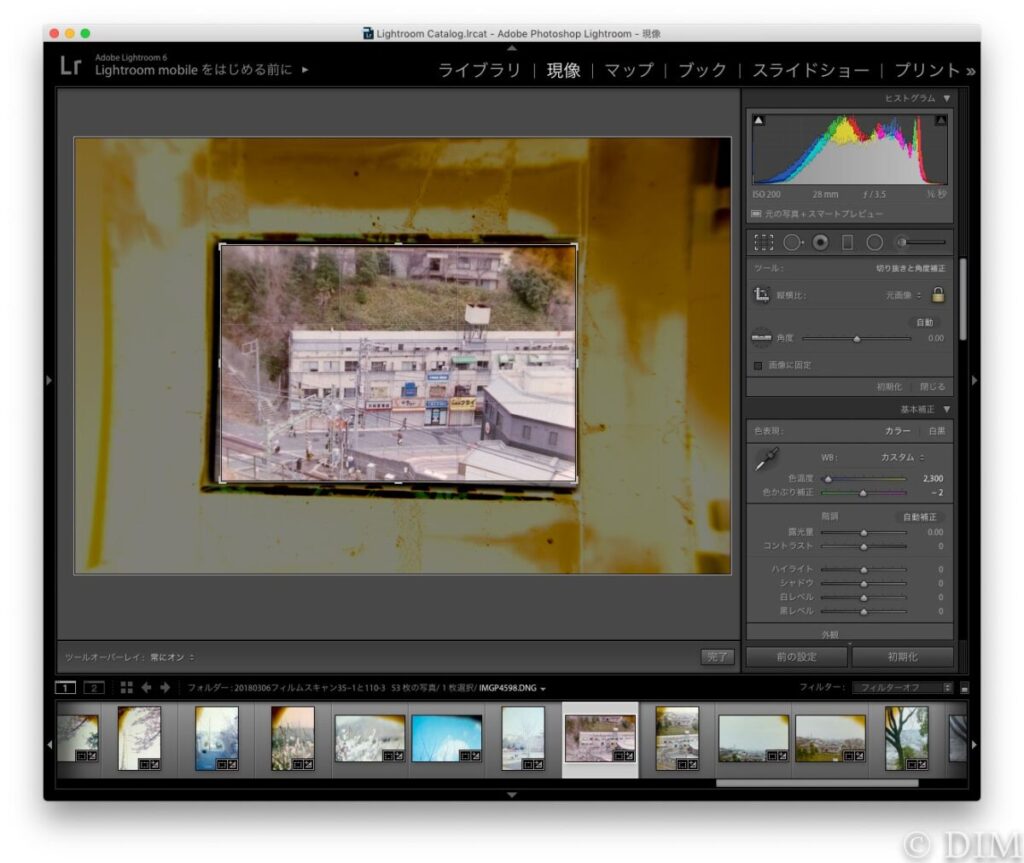 あなたが現在見ているのは フィルム撮影・スキャンした写真に写り込む黄色いもやもやの正体は