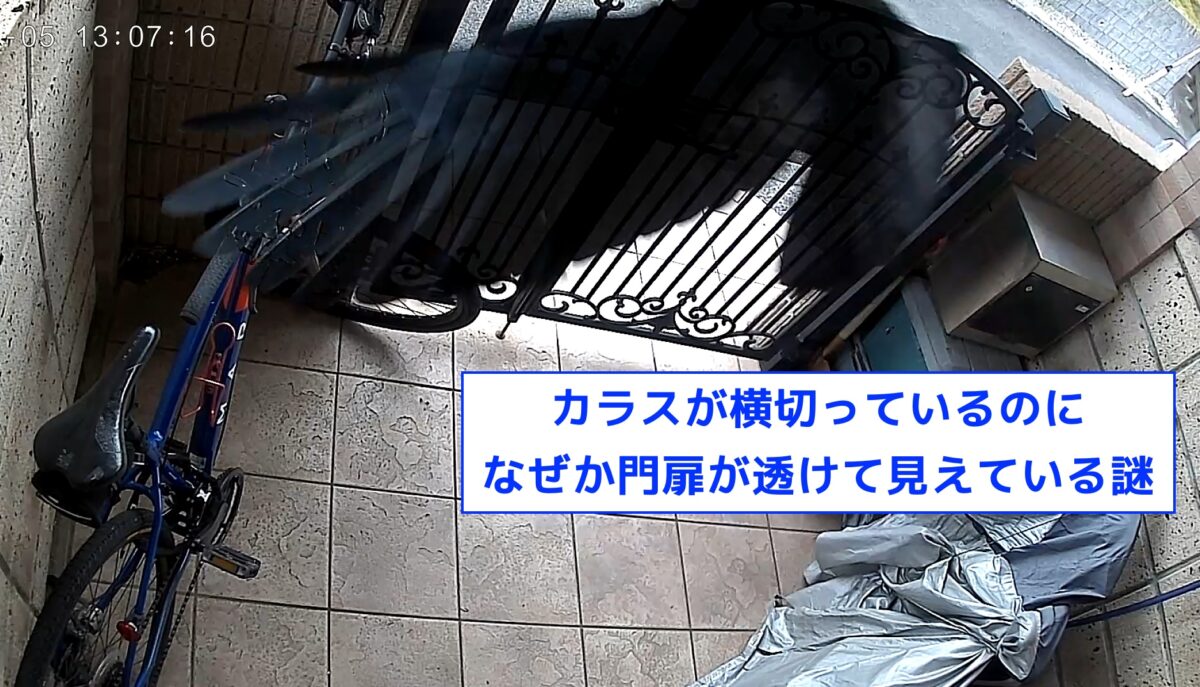 監視カメラに映ったカラス